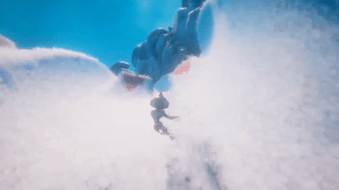 dreams-the-dreamboarders-snap